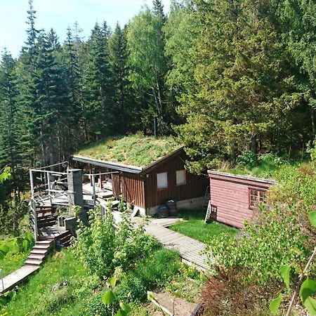 Beautiful 3 Bed Cottage In Ytteroy With Seaview Εξωτερικό φωτογραφία